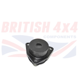 Rear Trailing Arm Bush NTC9027G